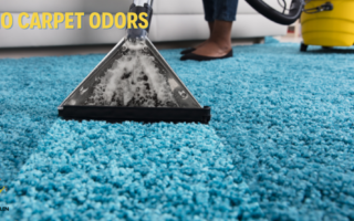 Carpet Odor Removal