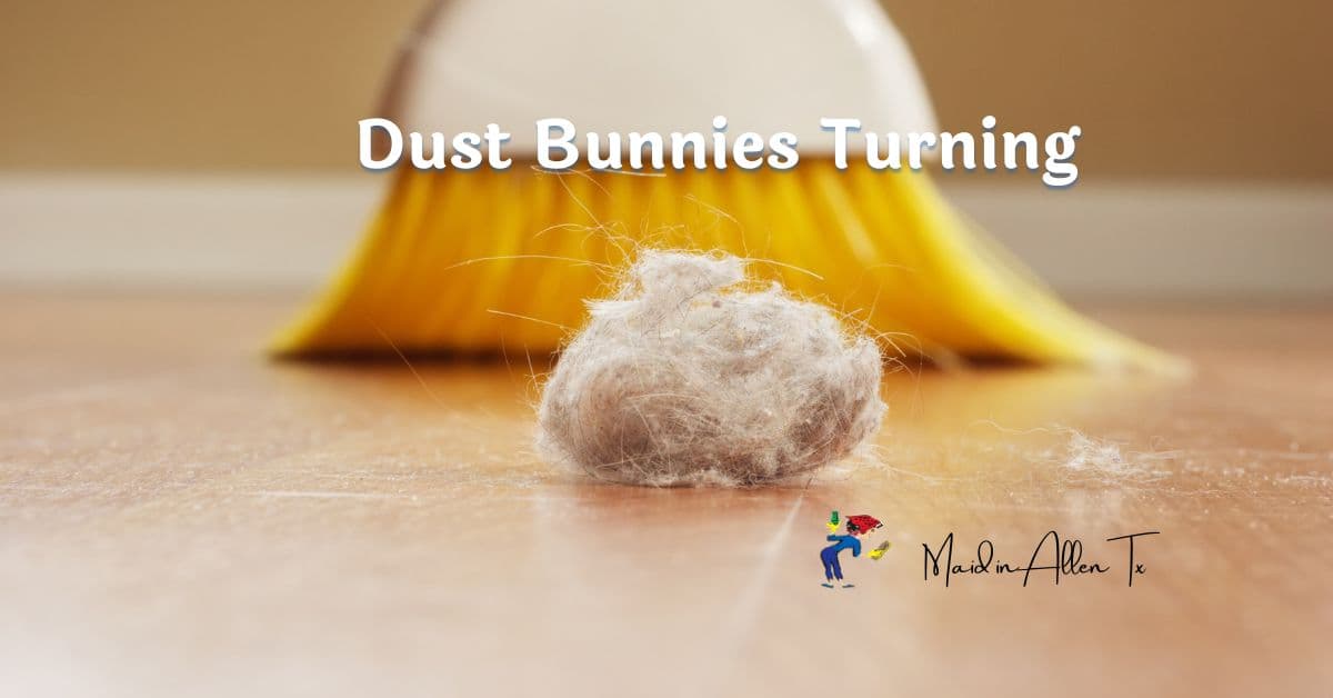 Dust Bunnies Turning in Allen