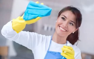 Regular Cleaning Services